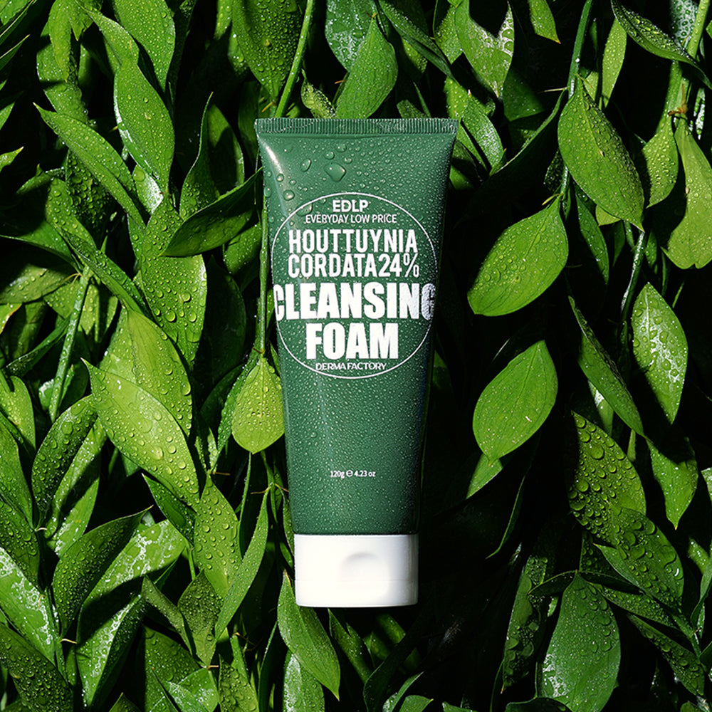 EDLP 어성초 24% 클렌징폼 120g