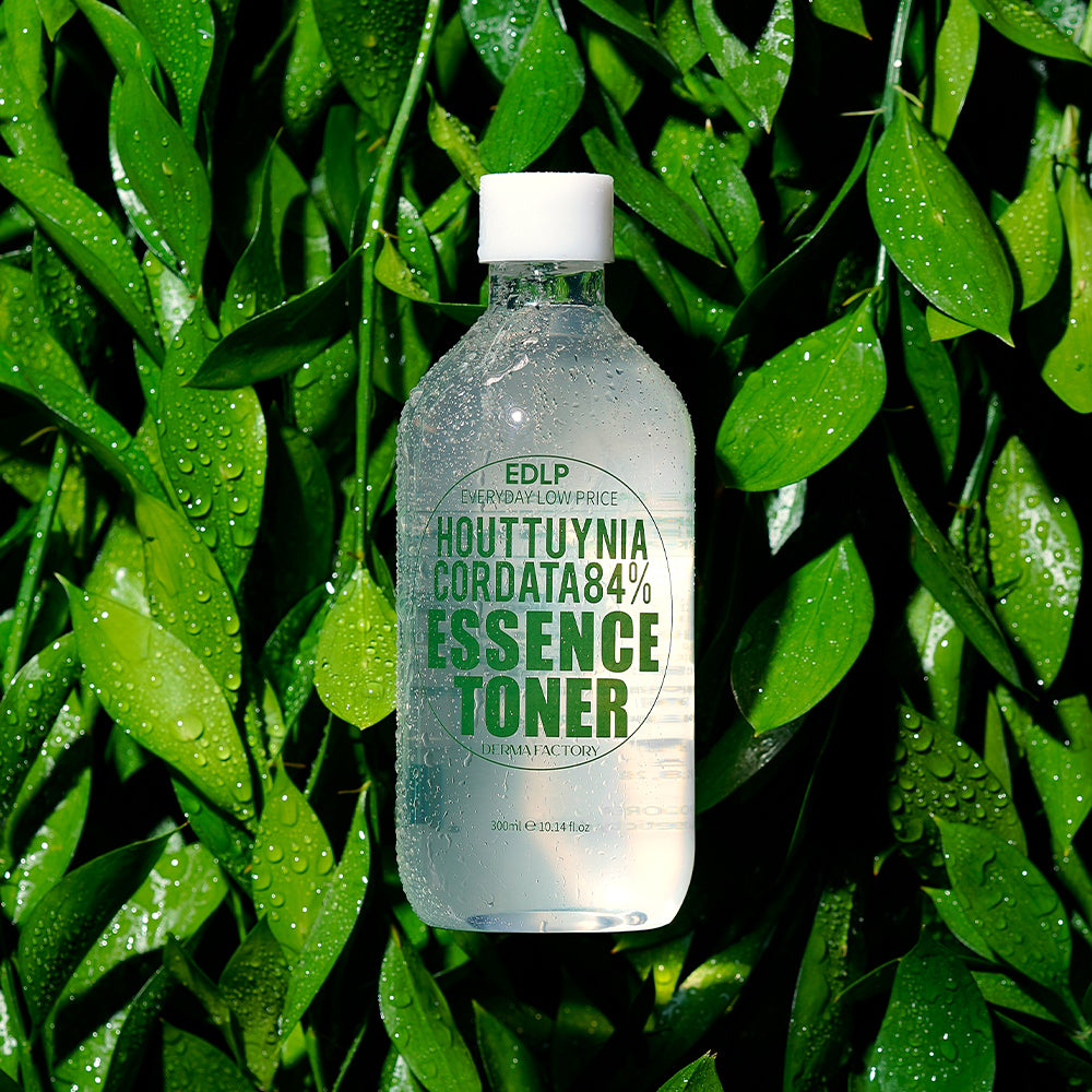 EDLP 어성초 84% 에센스 토너 300ml